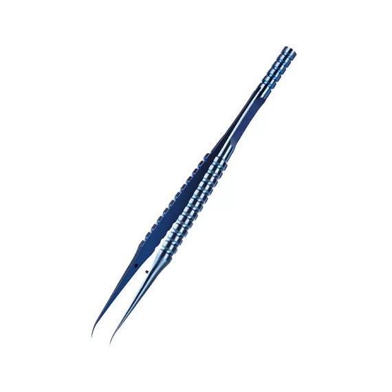 WhatsApp Image 2025-10-29 at 15.56.47